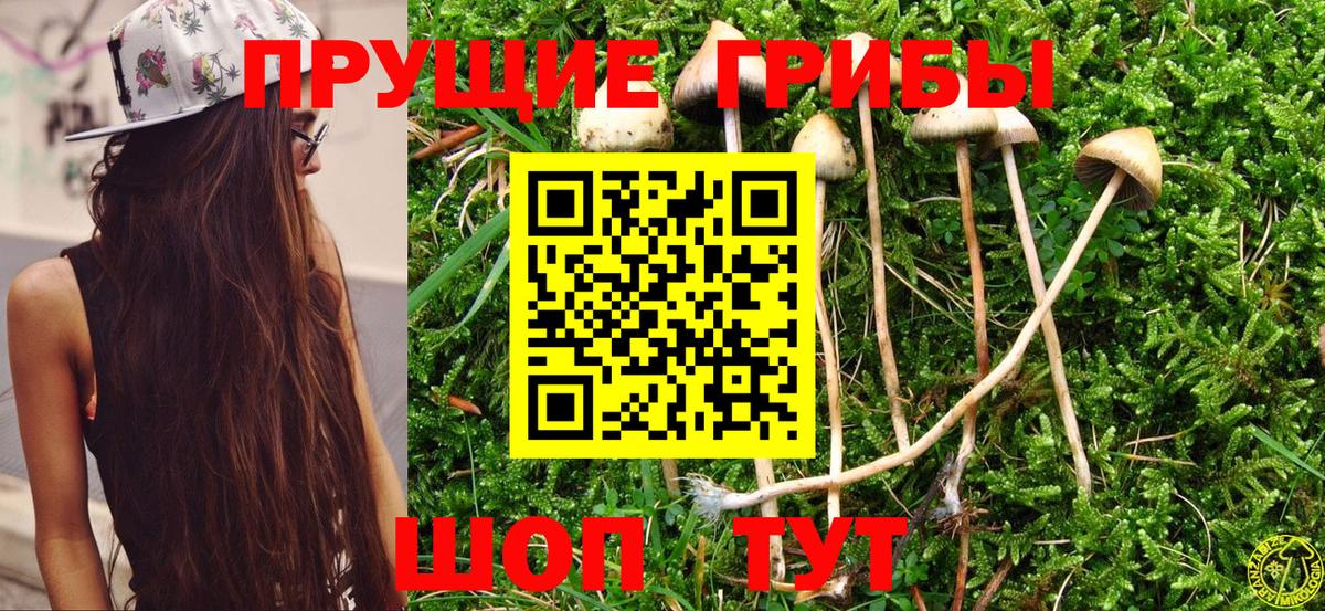 Галлюциногенные грибы ЛСД  Вход с VPN  Псилоцибиновые грибы ЛСД  Амурск 