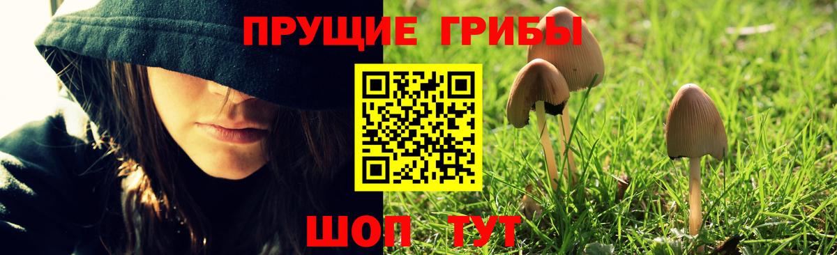 Псилоцибиновые грибы мухоморы Амурск